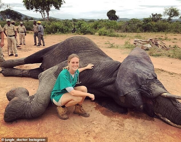 Фотография: Доктор из джунглей спешит на помощь: девушка ветеринар из Австралии спасает слонов №2 - BigPicture.ru