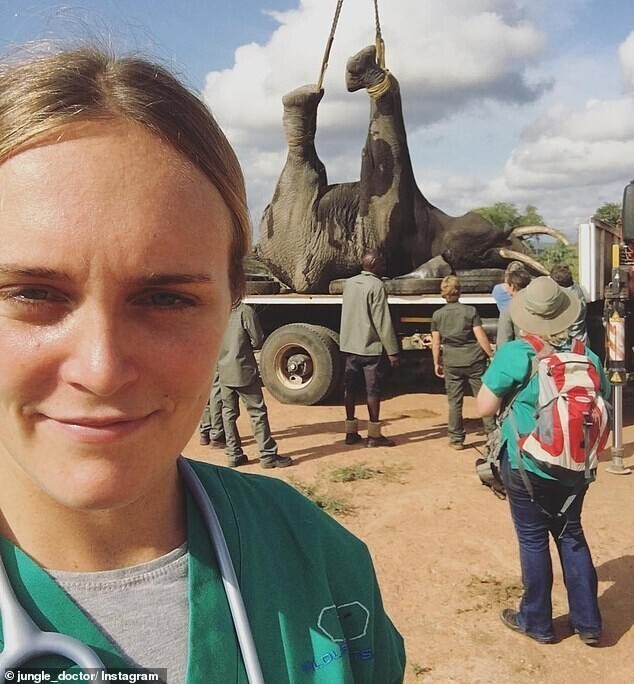 Фотография: Доктор из джунглей спешит на помощь: девушка ветеринар из Австралии спасает слонов №5 - BigPicture.ru