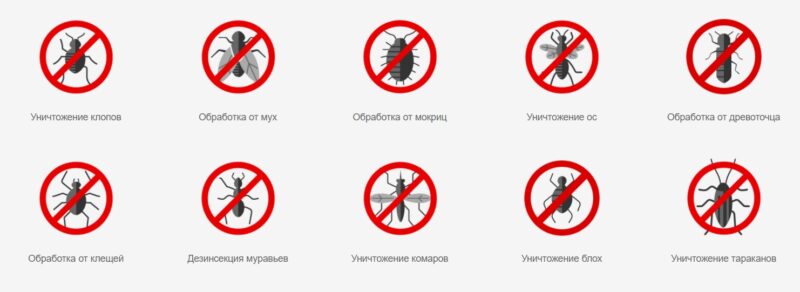 Фотография: Дезинсекция и дезинфекция: когда, где и зачем и как проводятся №2 - BigPicture.ru