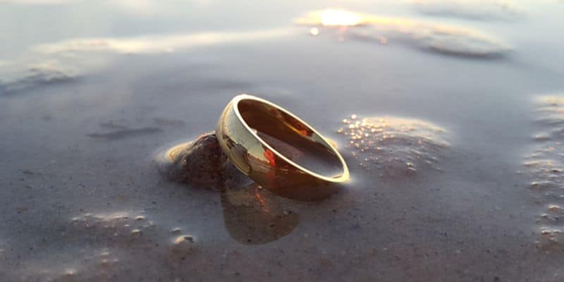 Фотография: Кефаль теперь носит обручальное кольцо, которое потерял турист из Австралии №2 - BigPicture.ru