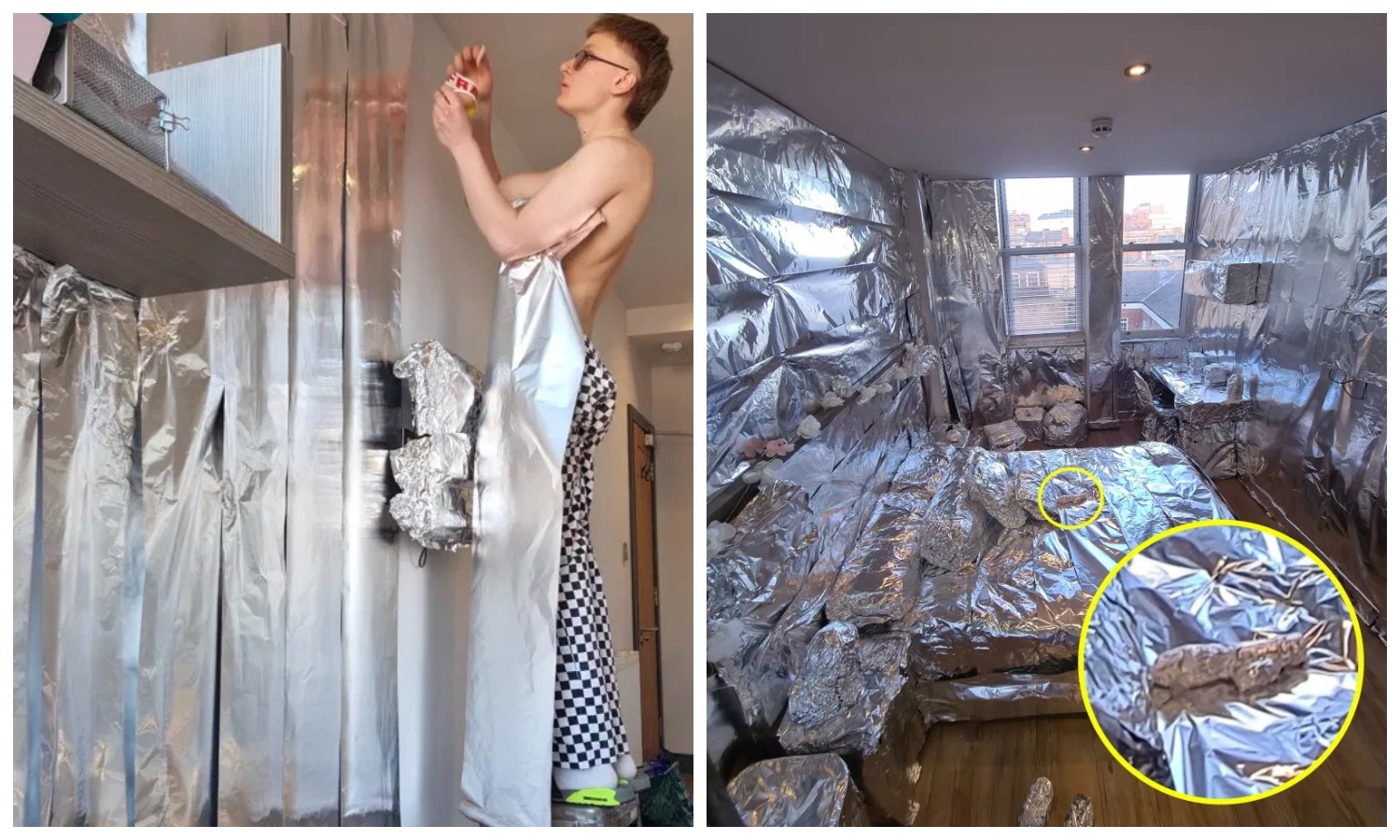 Фотография: Блестящая шутка: студент покрыл всю комнату соседки фольгой, включая стены, пол и ее вибратор №1 - BigPicture.ru