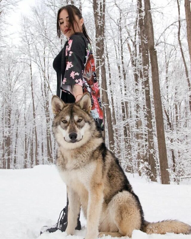 Фотография: Россиянка спасла маленького волчонка и получила верного друга №7 - BigPicture.ru