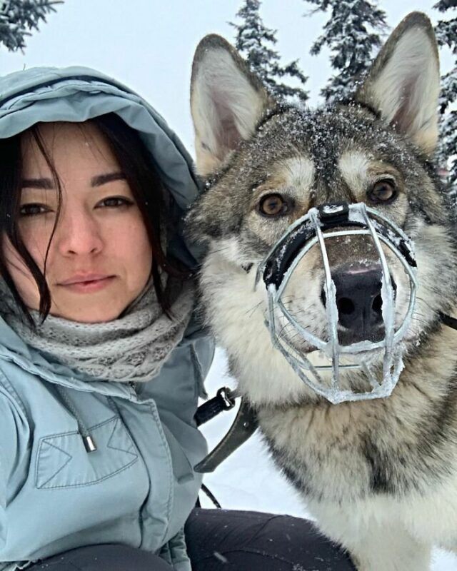 Фотография: Россиянка спасла маленького волчонка и получила верного друга №8 - BigPicture.ru