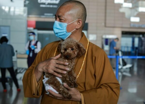 Благая миссия: монах из Шанхая заботится о 8 000 бездомных животных