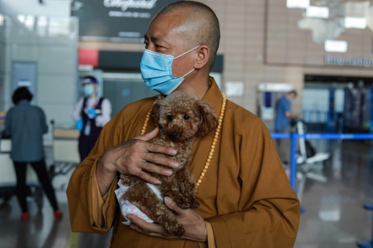 Фотография: Благая миссия: монах из Шанхая заботится о 8 000 бездомных животных №1 - BigPicture.ru