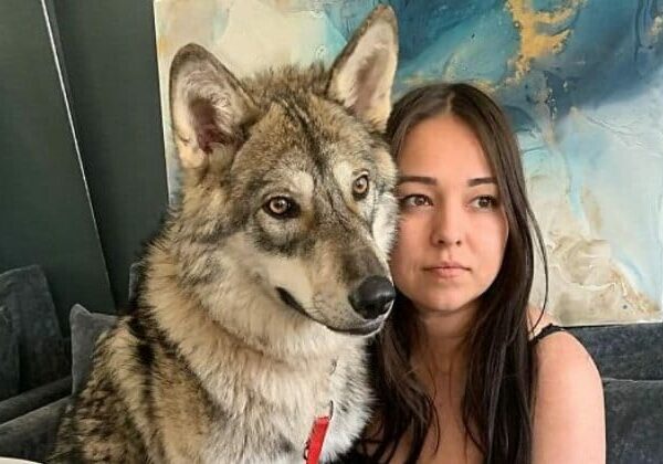 Россиянка спасла маленького волчонка и получила верного друга