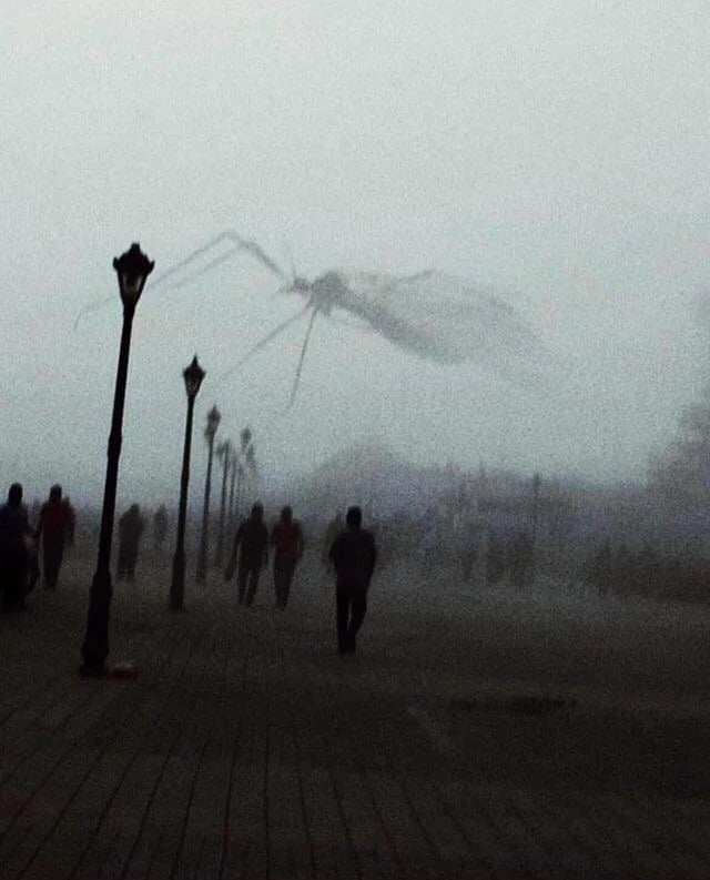 Фотография: До мурашек: 22 фото, на которых мерещится нечто ужасное №11 - BigPicture.ru