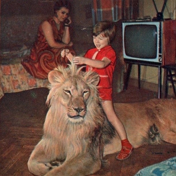 Фотография: Домашние львы Берберовых, или Трагедия, которая не должна была произойти №8 - BigPicture.ru