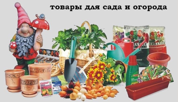 Фотография: Как правильно защитить свой сад или огород от болезней и вредителей №1 - BigPicture.ru