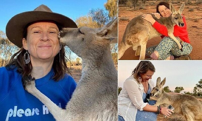 Фотография: Как выглядит самый ласковый кенгуру Австралии, который очень любит обнимашки №1 - BigPicture.ru