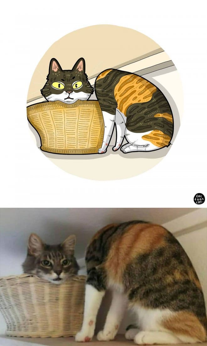 Фотография: 22 забавных кото-фото из сети, которые превратили в мультяшные иллюстрации №22 - BigPicture.ru