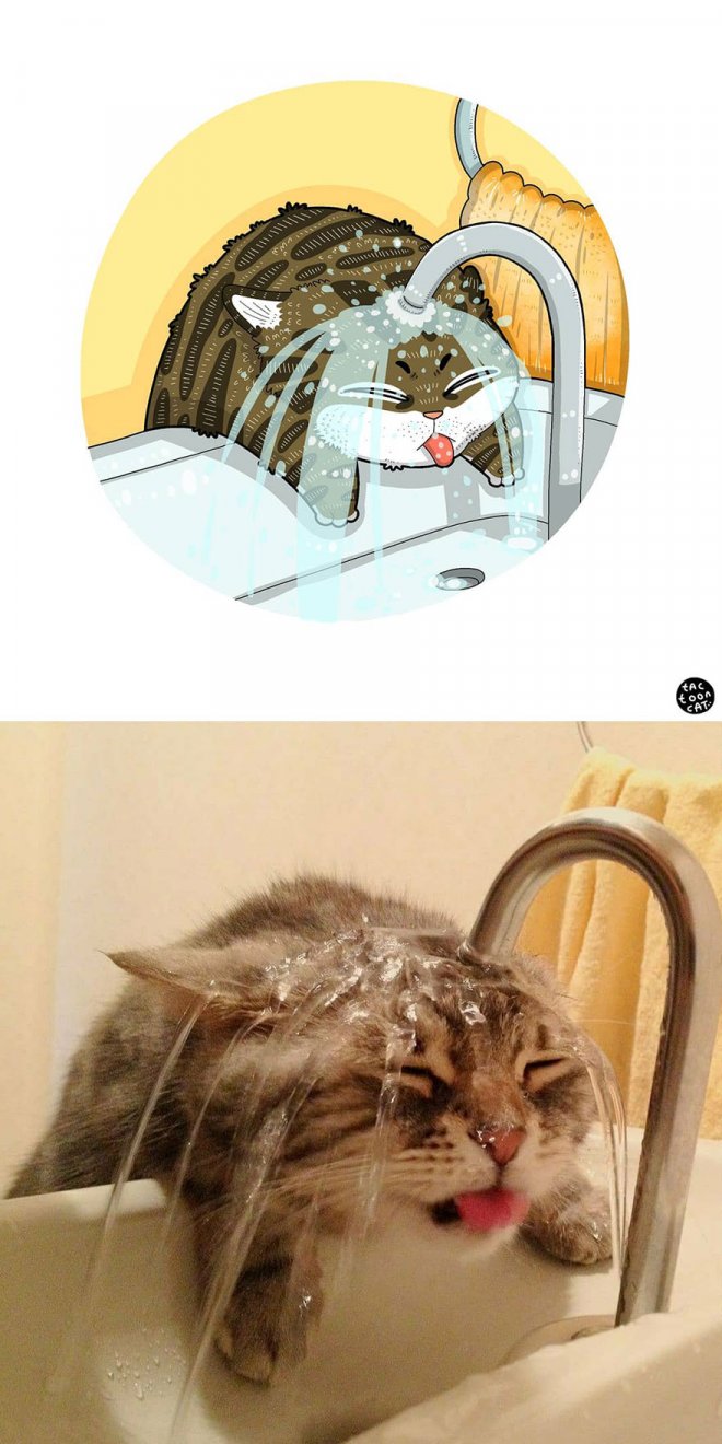 Фотография: 22 забавных кото-фото из сети, которые превратили в мультяшные иллюстрации №5 - BigPicture.ru