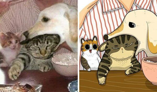 22 забавных кото-фото из сети, которые превратили в мультяшные иллюстрации
