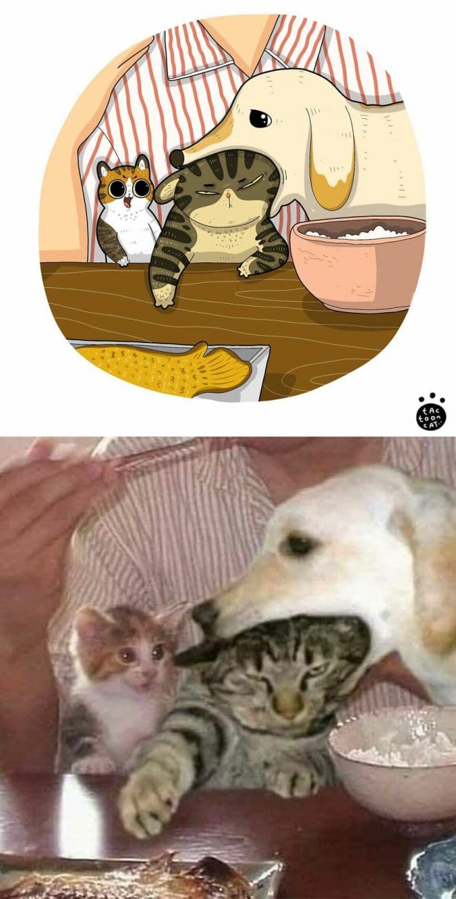 Фотография: 22 забавных кото-фото из сети, которые превратили в мультяшные иллюстрации №2 - BigPicture.ru