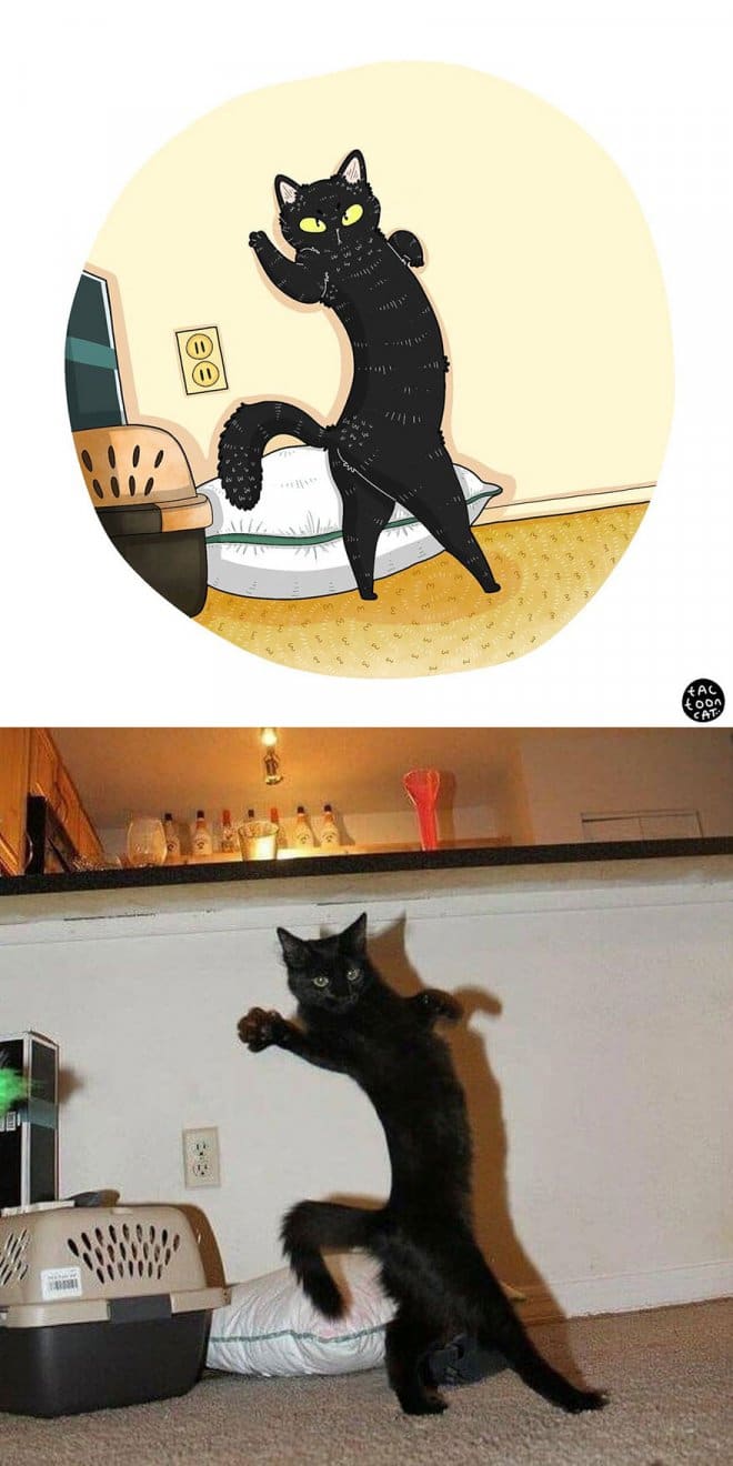 Фотография: 22 забавных кото-фото из сети, которые превратили в мультяшные иллюстрации №13 - BigPicture.ru