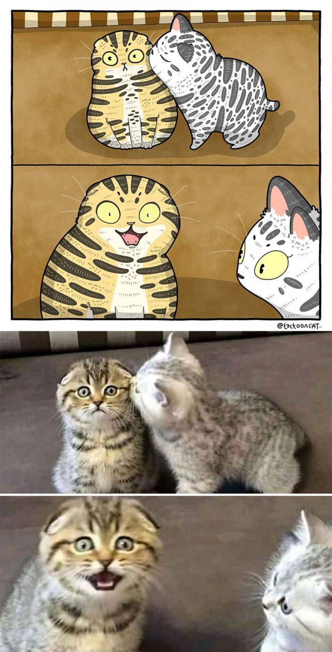 Фотография: 22 забавных кото-фото из сети, которые превратили в мультяшные иллюстрации №17 - BigPicture.ru