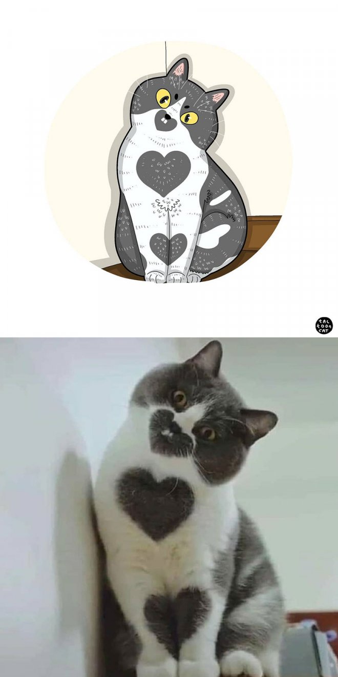 Фотография: 22 забавных кото-фото из сети, которые превратили в мультяшные иллюстрации №4 - BigPicture.ru