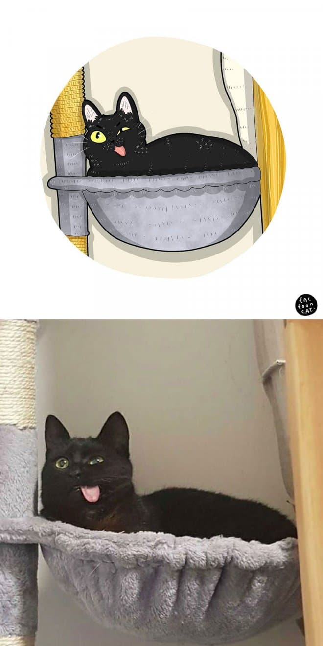 Фотография: 22 забавных кото-фото из сети, которые превратили в мультяшные иллюстрации №15 - BigPicture.ru