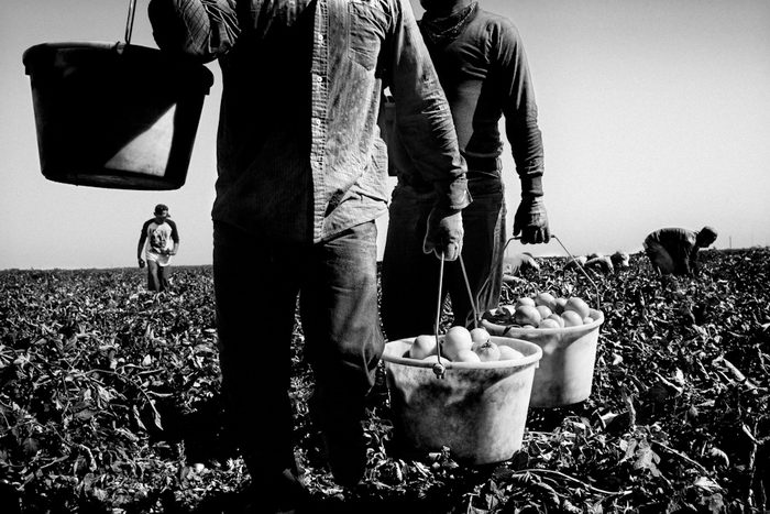 Фотография: Бедность и тщета: американская глубинка в снимках Мэтта Блэка №19 - BigPicture.ru