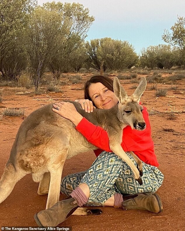 Фотография: Как выглядит самый ласковый кенгуру Австралии, который очень любит обнимашки №6 - BigPicture.ru