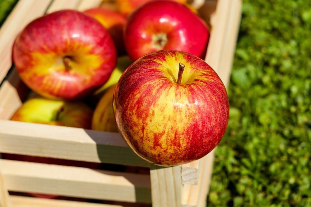 Фотография: Молодильные яблоки: специалисты назвали продукты, которые снижают биологический возраст №9 - BigPicture.ru