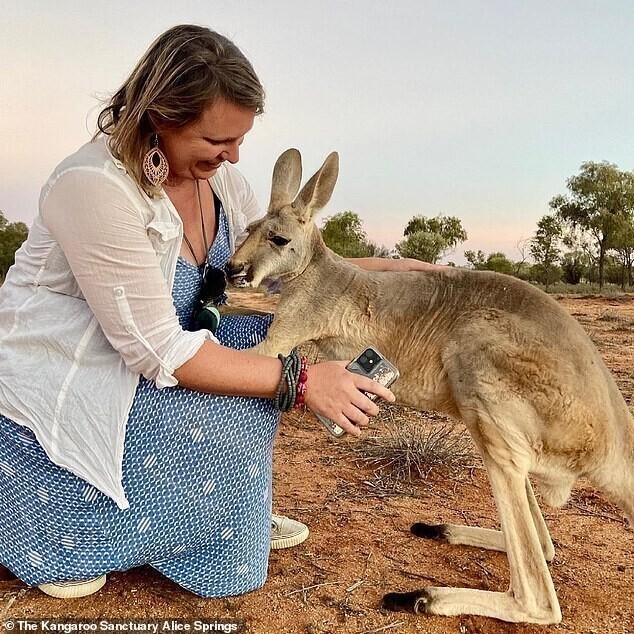 Фотография: Как выглядит самый ласковый кенгуру Австралии, который очень любит обнимашки №4 - BigPicture.ru
