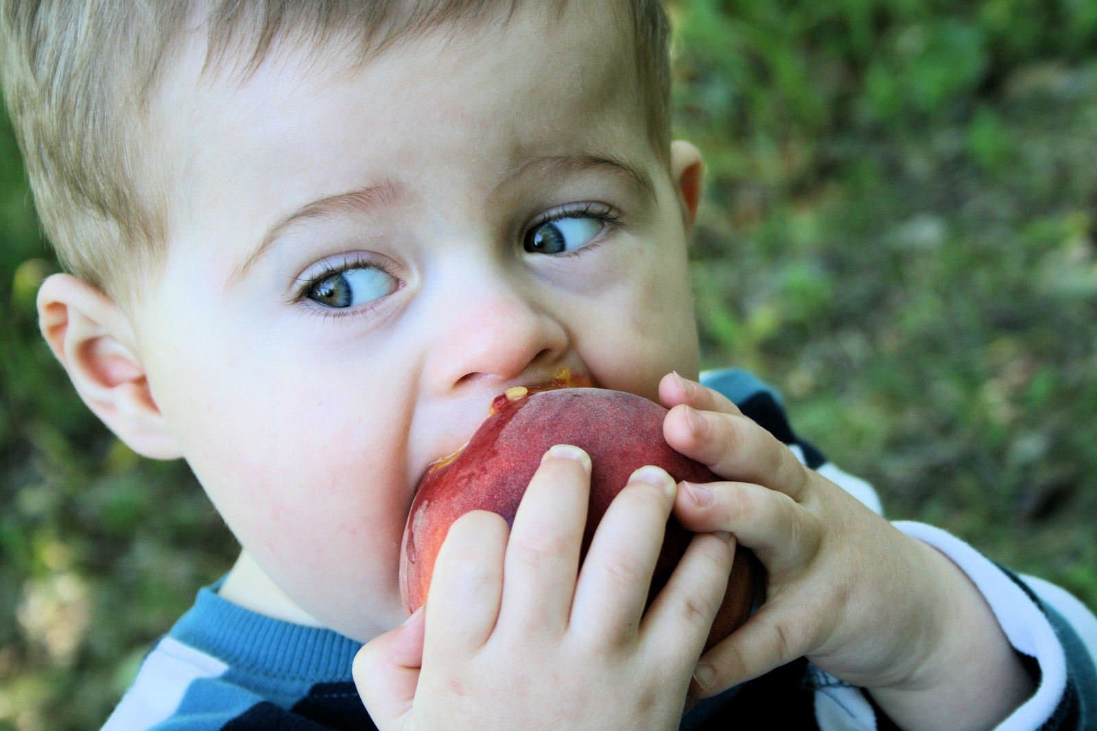 Фотография: 5 советов, как правильно выбрать вкусный и сладкий персик №1 - BigPicture.ru