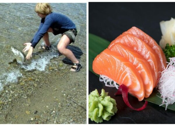 Ученики японских школ выращивают рыбу, а потом решают, съесть ее или выпустить в океан