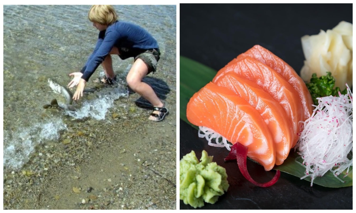 Фотография: Ученики японских школ выращивают рыбу, а потом решают, съесть ее или выпустить в океан №1 - BigPicture.ru