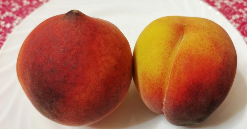Фотография: 5 советов, как правильно выбрать вкусный и сладкий персик №3 - BigPicture.ru