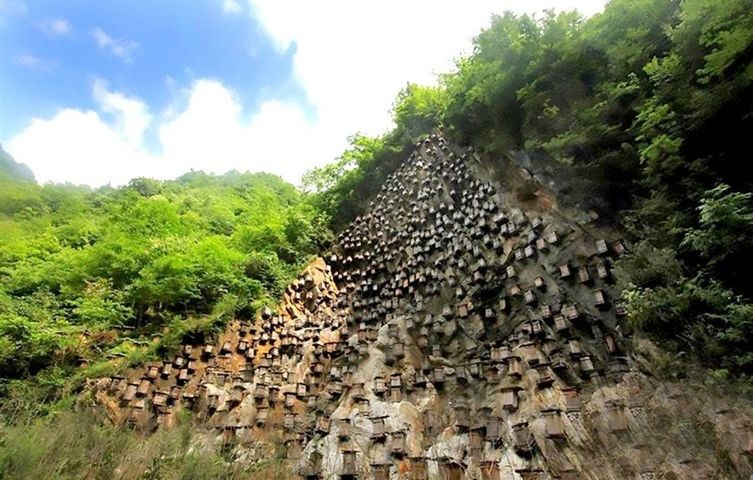 Фотография: Уникальная стена ульев - единственный заповедник диких пчел в Китае №3 - BigPicture.ru