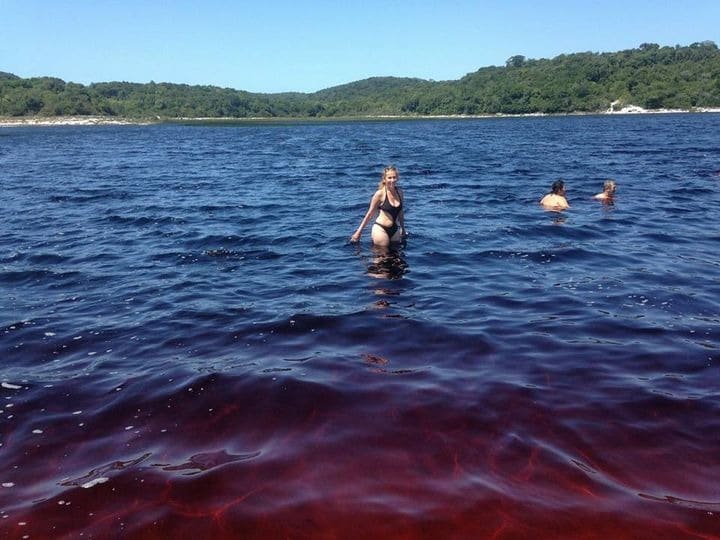 Фотография: Освежись! Необычное кока-кола озеро в Бразилии привлекает туристов со всего мира №5 - BigPicture.ru