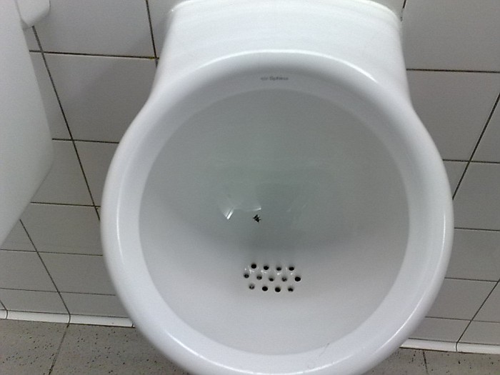 Фотография: В амстердамском аэропорту экономят на уборке туалетов при помощи... мух №2 - BigPicture.ru