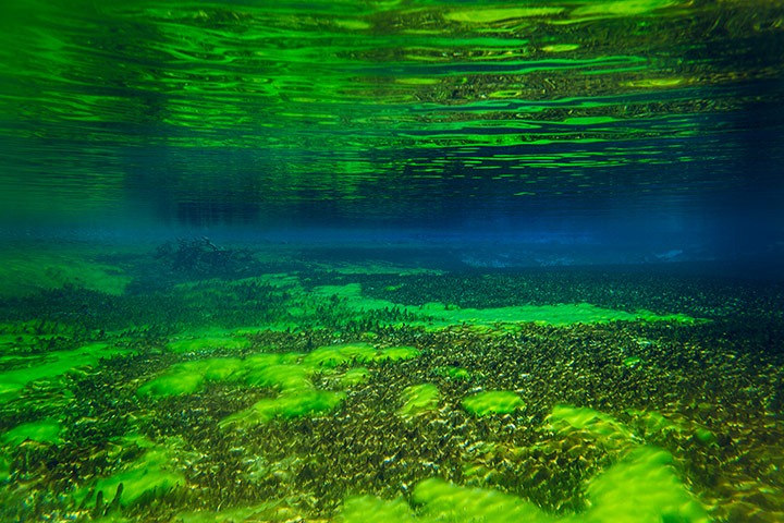 Фотография: Голубое озеро Нельсон – самое чистое в мире №9 - BigPicture.ru