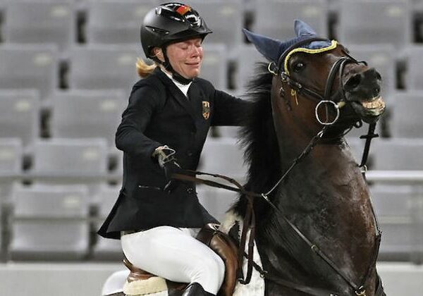Олимпийская драма с улыбающимся конем и плачущей всадницей породила волну мемов