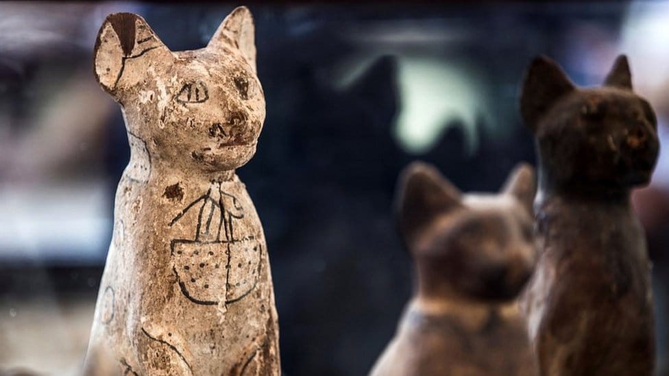 Фотография: Почему в Древнем Египте так любили и почитали кошек? №5 - BigPicture.ru