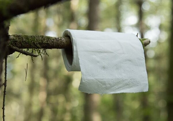 Что такое «papierzaki», или Зачем в польских лесах развесили «туалетные» инструкции