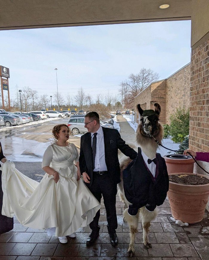 Фотография: 35 смешных моментов со свадеб, которые сделали праздник только лучше №18 - BigPicture.ru