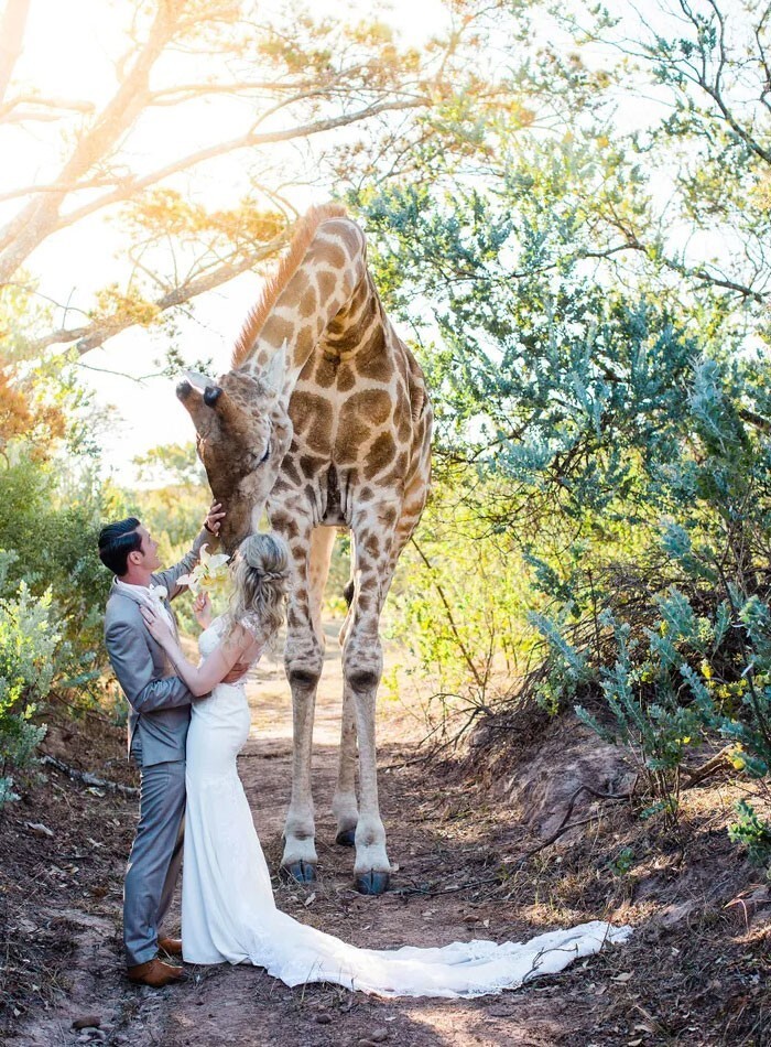 Фотография: 35 смешных моментов со свадеб, которые сделали праздник только лучше №15 - BigPicture.ru