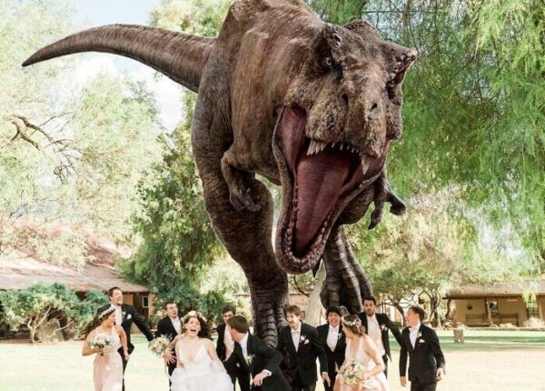 35 смешных моментов со свадеб, которые сделали праздник только лучше