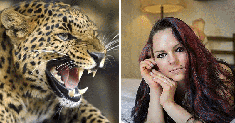 Фотография: Леопард напал на модель во время фотосессии и изуродовал ей лицо №1 - BigPicture.ru