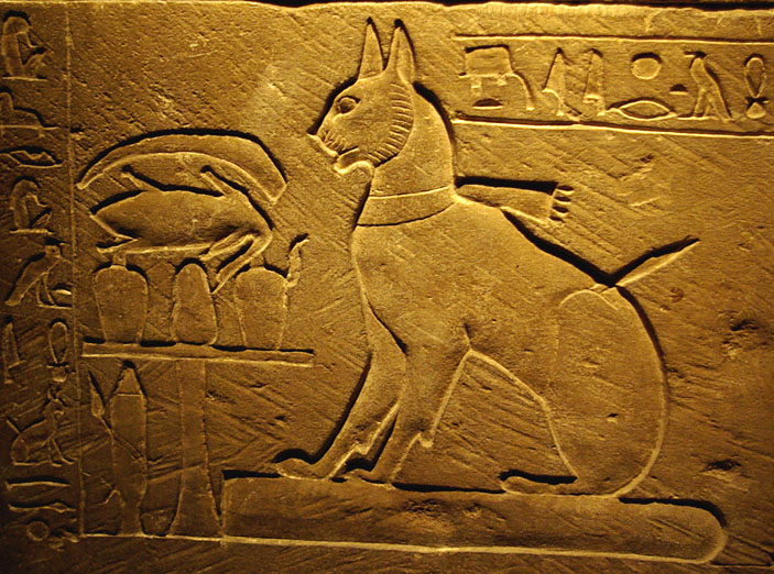 Фотография: Почему в Древнем Египте так любили и почитали кошек? №2 - BigPicture.ru