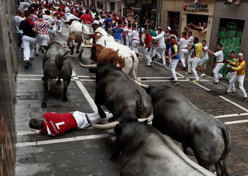 Фотография: Зачем люди в Испании бегают от быков: история праздника Сан-Фермин в Памплоне №11 - BigPicture.ru