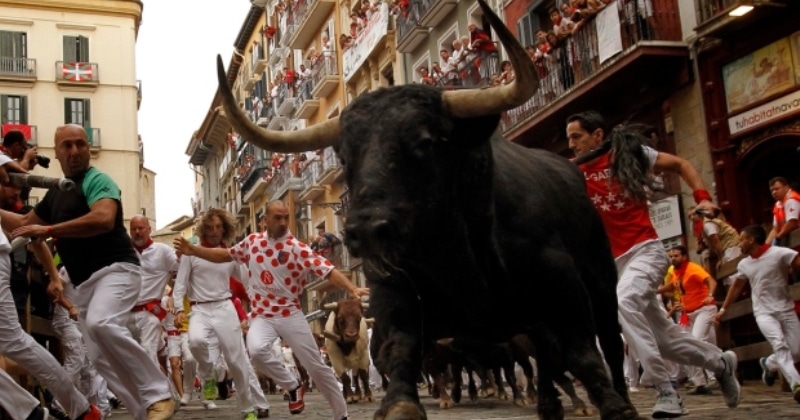 Фотография: Зачем люди в Испании бегают от быков: история праздника Сан-Фермин в Памплоне №10 - BigPicture.ru