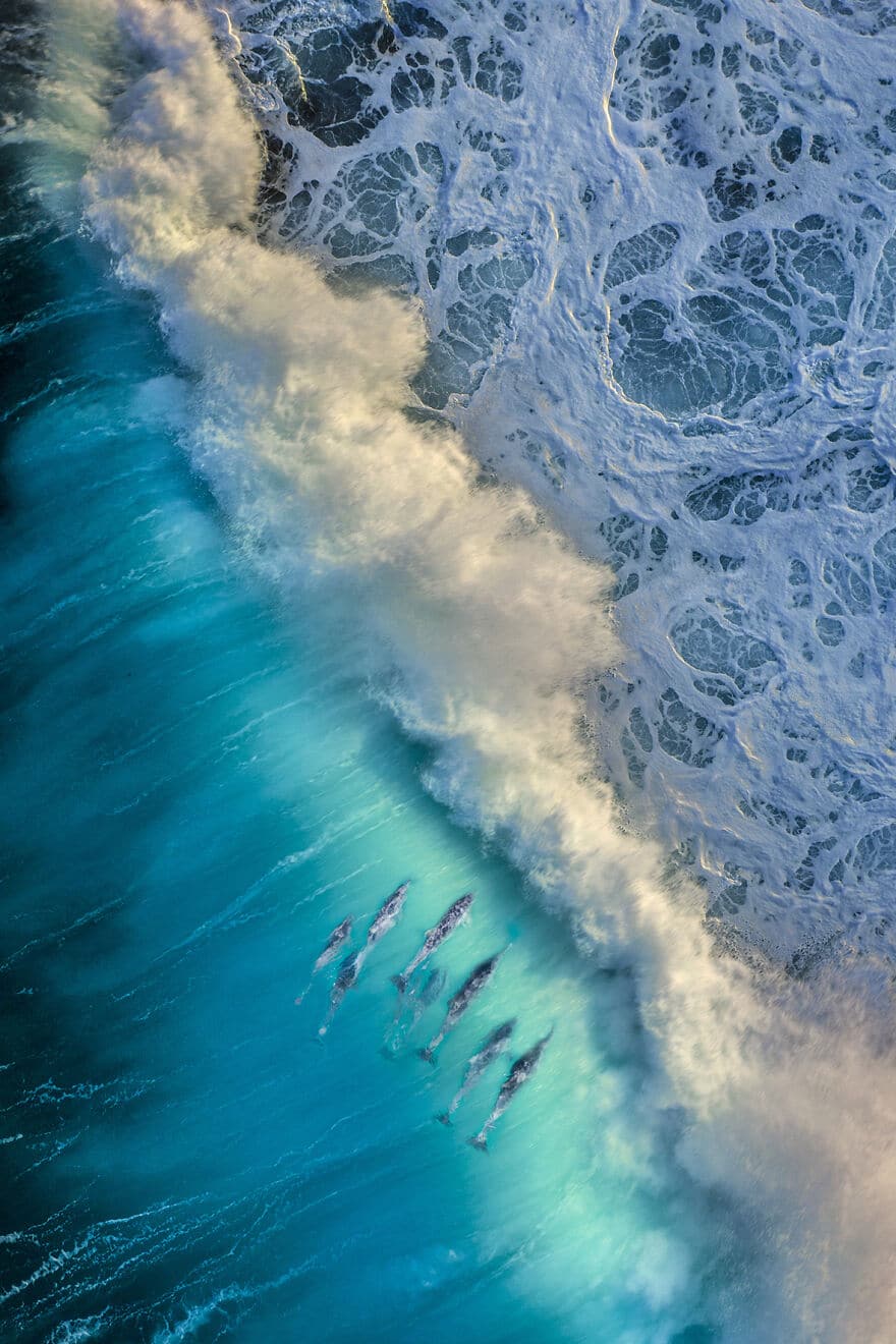 Фотография: 10 удивительных подводных снимков от финалистов конкурса Ocean Photography Awards 2021 №8 - BigPicture.ru