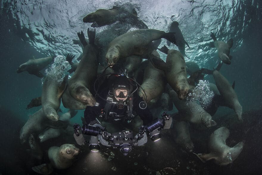 Фотография: 10 удивительных подводных снимков от финалистов конкурса Ocean Photography Awards 2021 №4 - BigPicture.ru