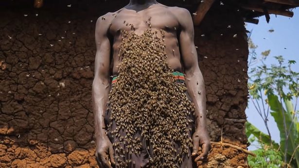 Фотография: Король пчел – африканец, который не боится жалящих насекомых №3 - BigPicture.ru