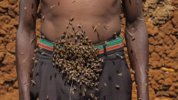Фотография: Король пчел – африканец, который не боится жалящих насекомых №6 - BigPicture.ru
