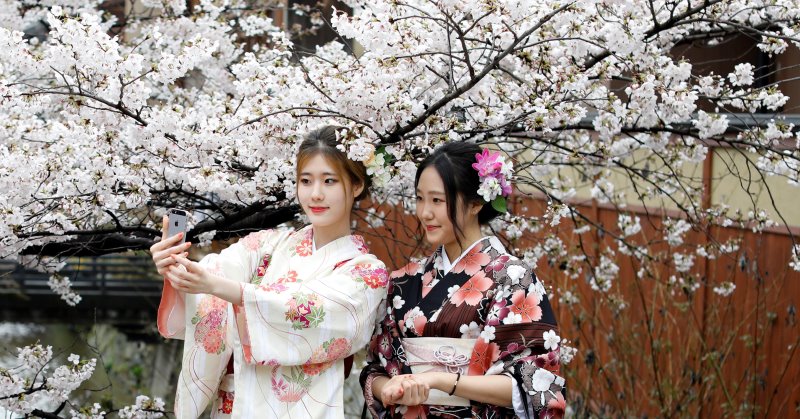 Фотография: Как цветущая сакура стала для японцев сакральным деревом №1 - BigPicture.ru