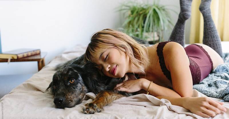 Фотография: Ученые установили, что женщинам лучше спать с собаками, а не с мужчинами №1 - BigPicture.ru